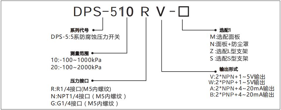 DPS-5数显压力传感器型号说明