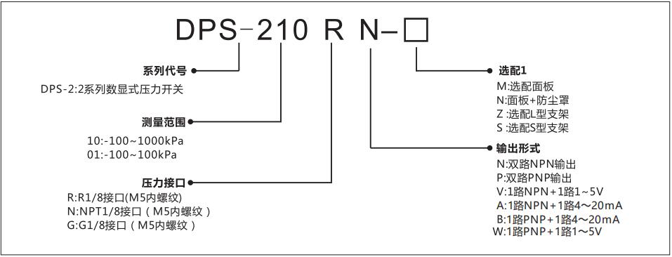 DPS-2数显压力传感器型号说明
