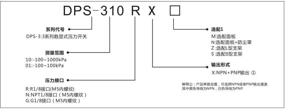 DPS-3数显压力传感器型号说明