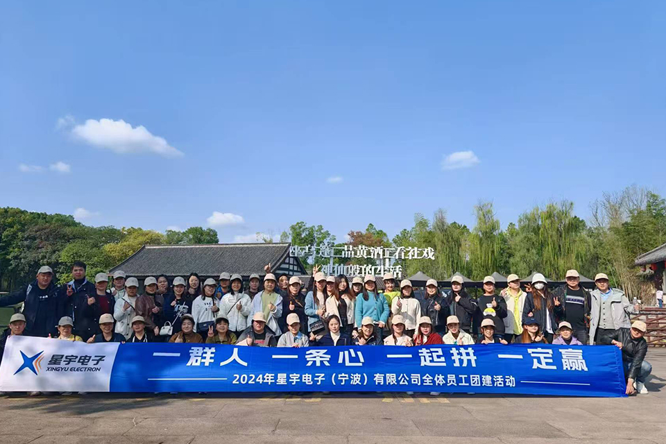 星宇电子(宁波)有限公司员工团队风采展示
